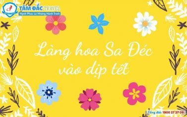 Làng hoa Sa Đéc vào dịp tết